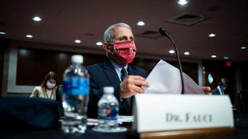 Anthony Fauci, June 2020