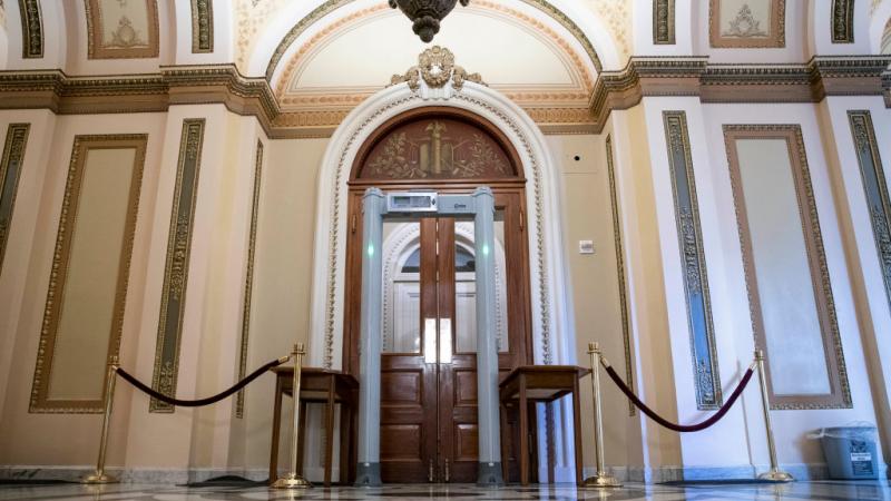 metal detector outside House chamber