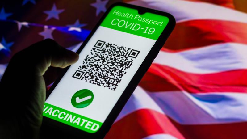 In this photo illustration a symbolic COVID-19 health passport seen displayed on a smartphone screen in front of the United States of America (USA) flag.