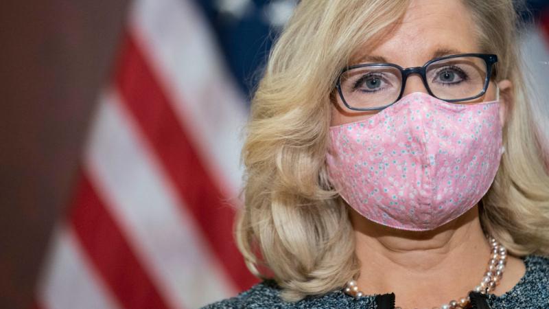 Rep. Liz Cheney on April 20, 2021