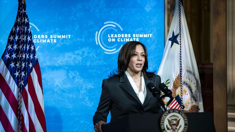 U.S. Vice President Kamala Harris speaks during a virtual Leaders Summit on Climate with 40 world leaders at the East Room of the White House April 22, 2021 in Washington, DC.
