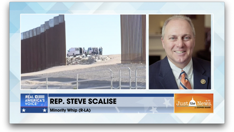 Minority Whip Steve Scalise (R-LA)