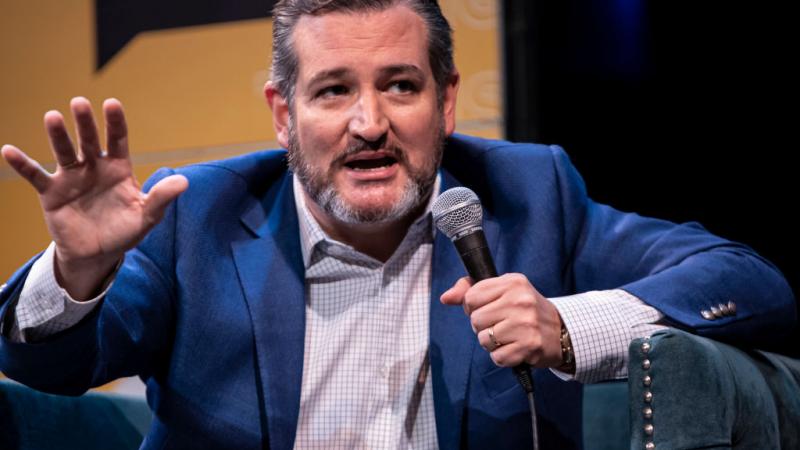 Sen. Ted Cruz in 2019