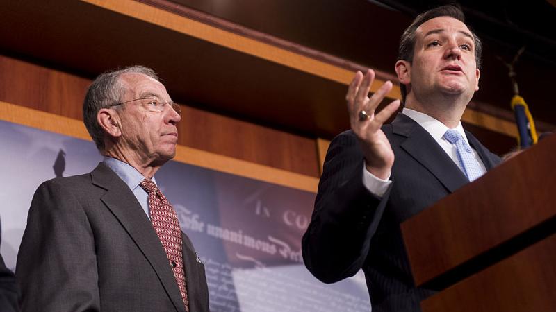 Sens. Ted Cruz and Chuck Grassley in 2013