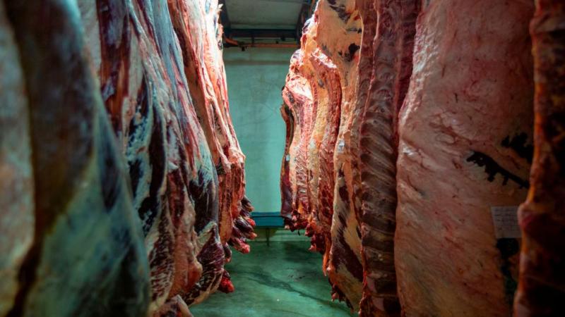 Sides of beef in a slaughterhouse
