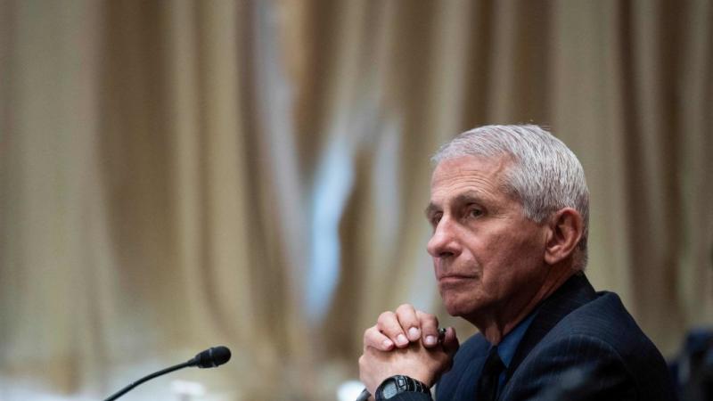 Anthony Fauci, May 26