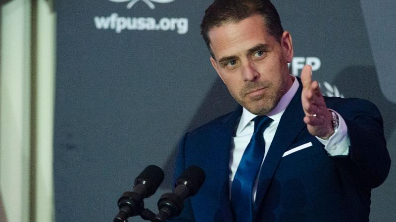 Hunter Biden in 2016