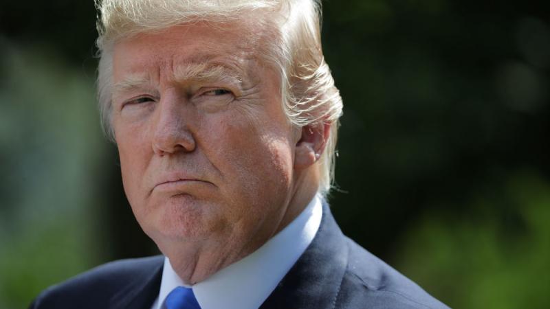 President Trump in July 2017