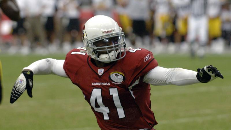 Arizona Cardinals safety Jack Brewer celebrates a defensive play against Pittsburgh Steelers August 12, 2006.
