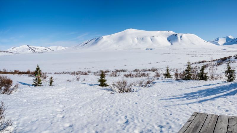Wilderness near Nome, Alaska