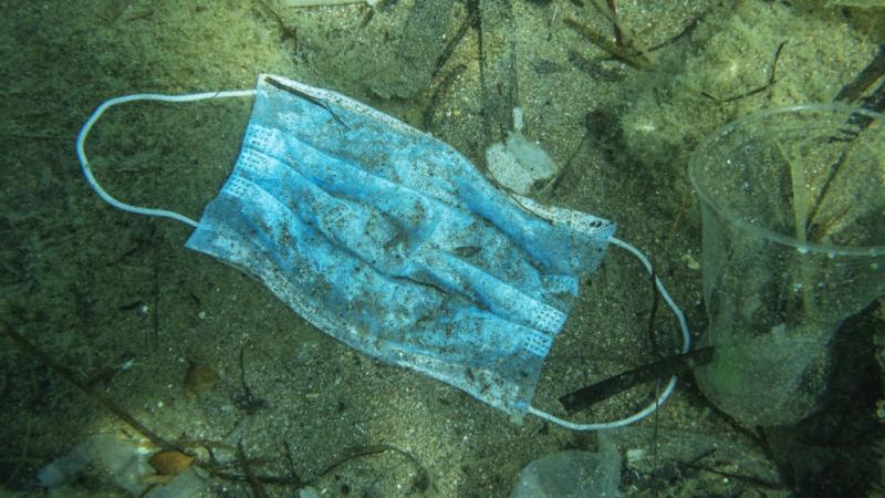 A face mask at the bottom of the ocean along with other plastic debris. 