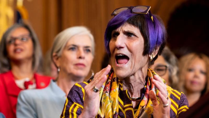 House Appropriations Chairwoman 