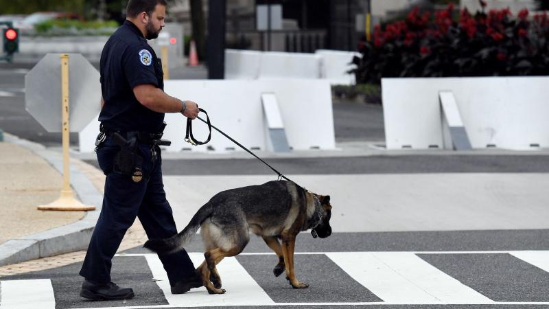 A US Capitol Police K-9 officer patrols the Capitol grounds in Washington, DC on September 17, 2021.