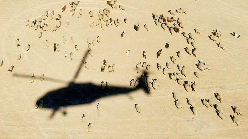 Black Hawk Down pilot joins Alabama senate race