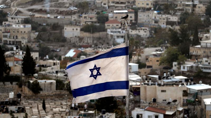 This picture taken on November 1, 2021 from the Mount of Olives shows a crow perching on a figure of two superimposed Stars of David at the top of a flagpole carrying an Israeli flag, with houses in Jerusalem's predominantly Arab neighbourhood of Silwan appearing in the background.