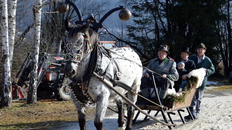 One horse open sleigh, Germany, 2014