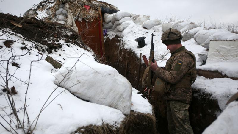 Ukrainian Military Forces troop, Jan. 22, 2021