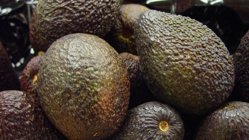 Avocados
