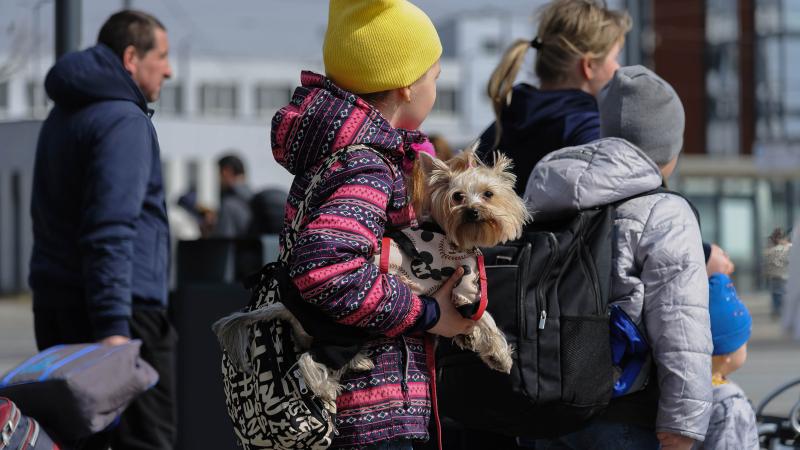 Child with dog, Lviv train station, Ukraine, March 26, 2022