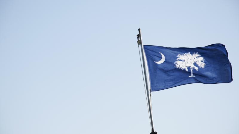 The South Carolina flag