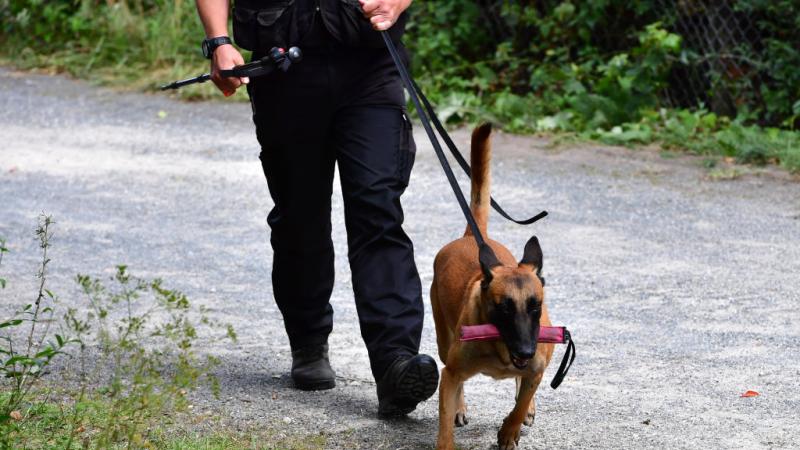 Investigators search the property of a suspect in McCann's disappearance, 2020