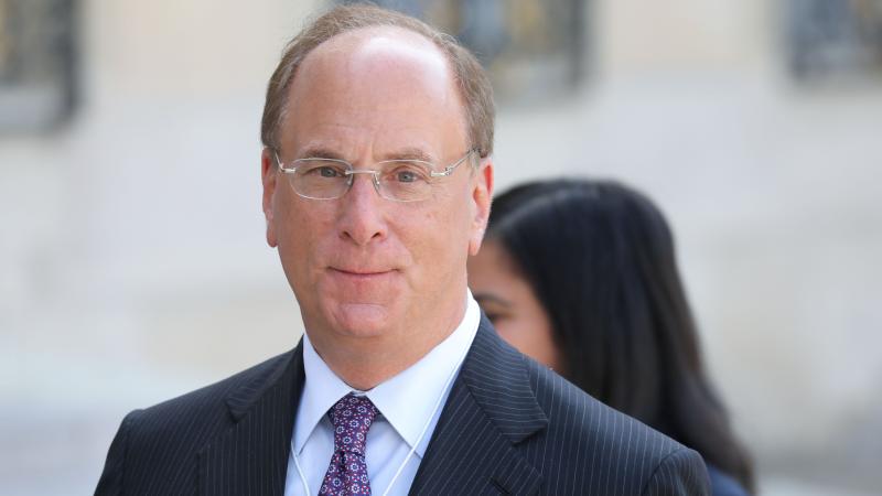 BlackRock CEO Larry Fink