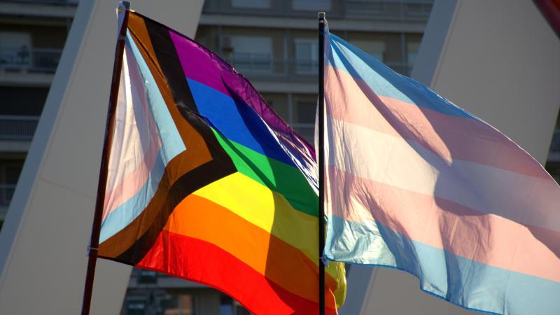 Trans pride flags