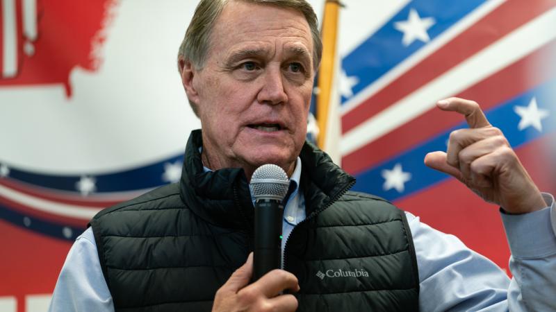 David Perdue