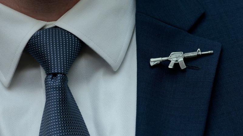 Gun Pin wore at House Judiciary committee