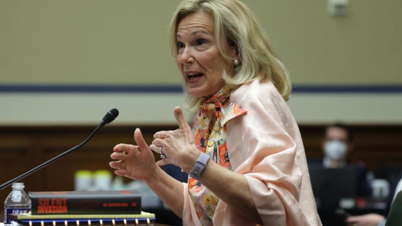 Deborah Birx in Congress, June 24