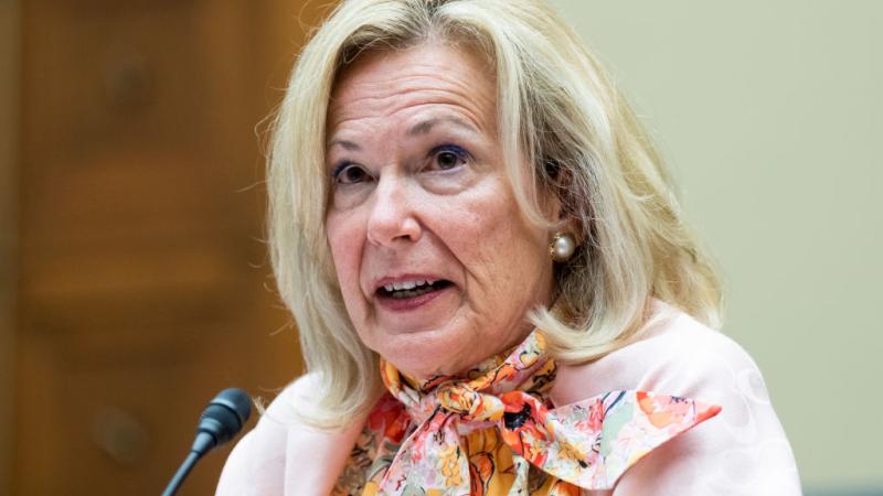 Deborah Birx testifies at the House of Representatives, June 2022