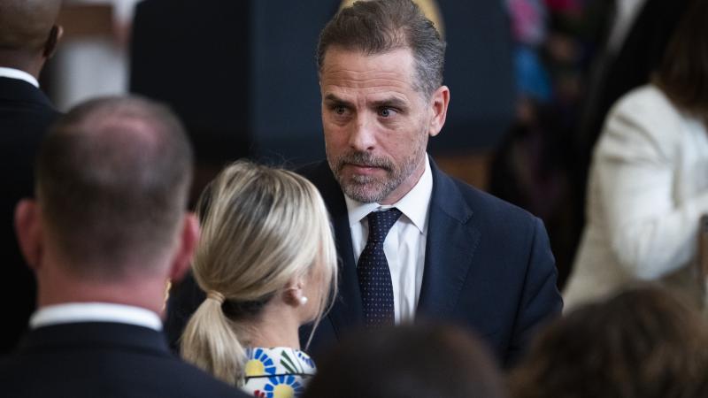 Hunter Biden, White House, July 7, 2022