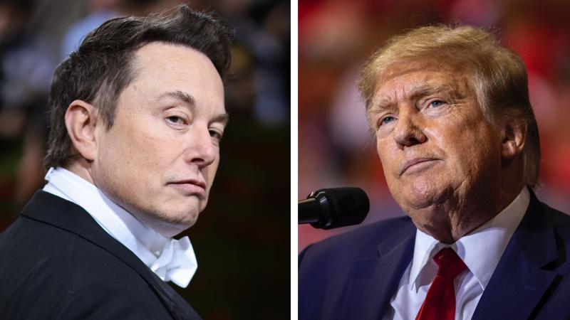 Elon Musk, Donald Trump