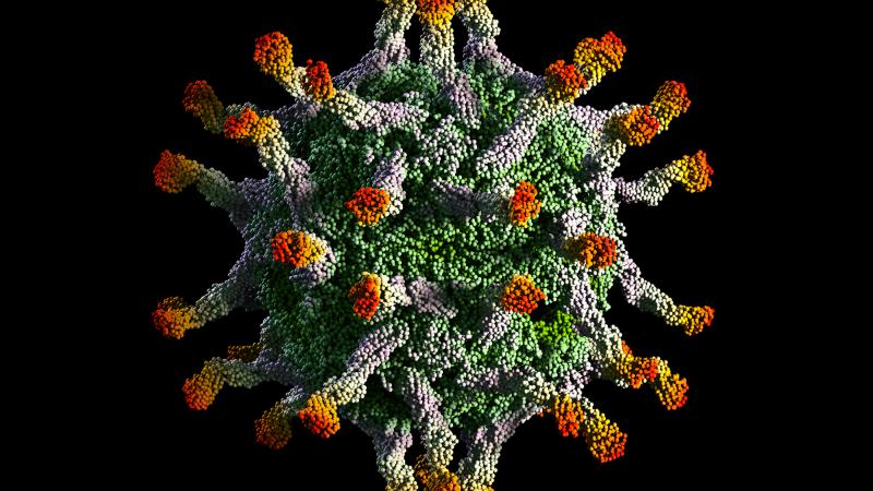 A model of a polio virus