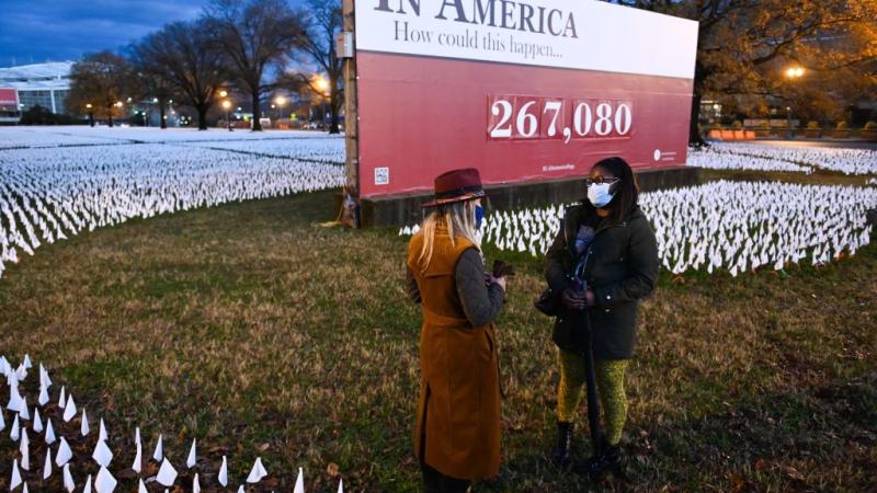 COVID deaths installation