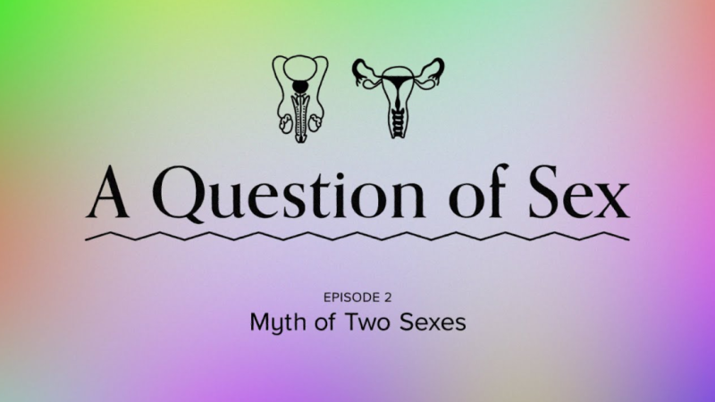 Scientific American says women are 18th century invention