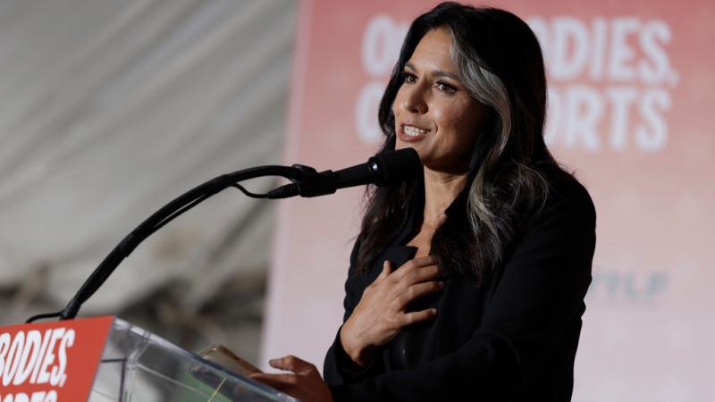 Tulsi Gabbard