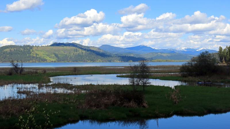 Wetlands, Idaho, May 07, 2017