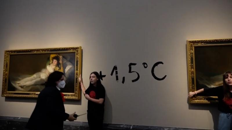 Climate activists glue themselves to Goya paintings in Madrid