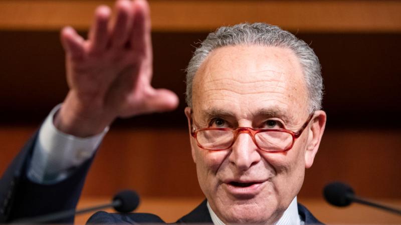 Schumer on the midterm elections