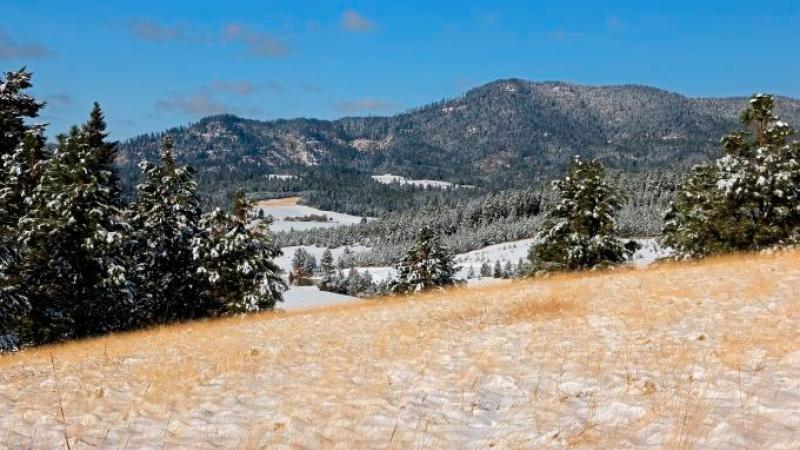 Moscow Mountain in Latah County, Idaho