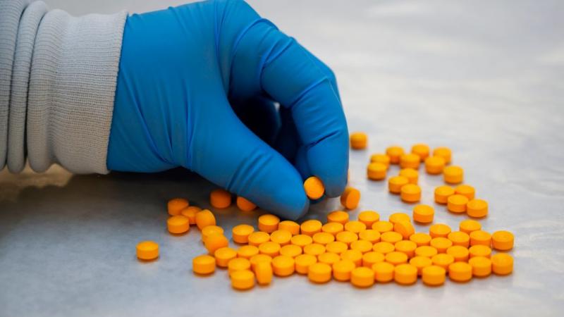 Fentanyl confiscated by the U.S. government in 2019