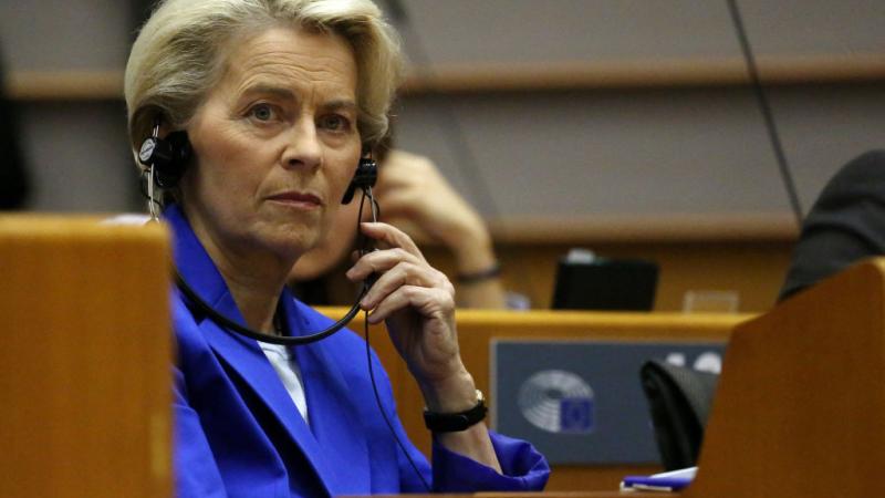 European Union Commission President Ursula von der Leyen, Nov. 2022