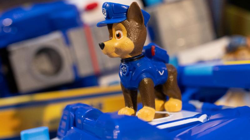 Paw Patrol toy
