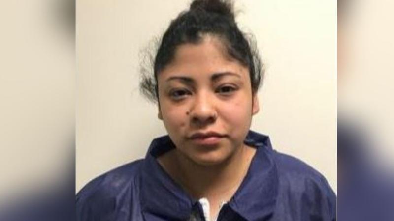 Sophia Negroponte, mugshot