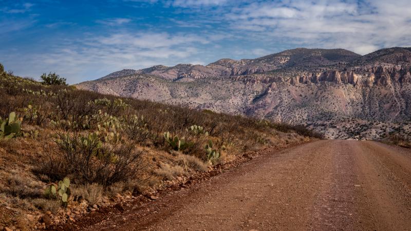 A scene from the Gila wilderness
