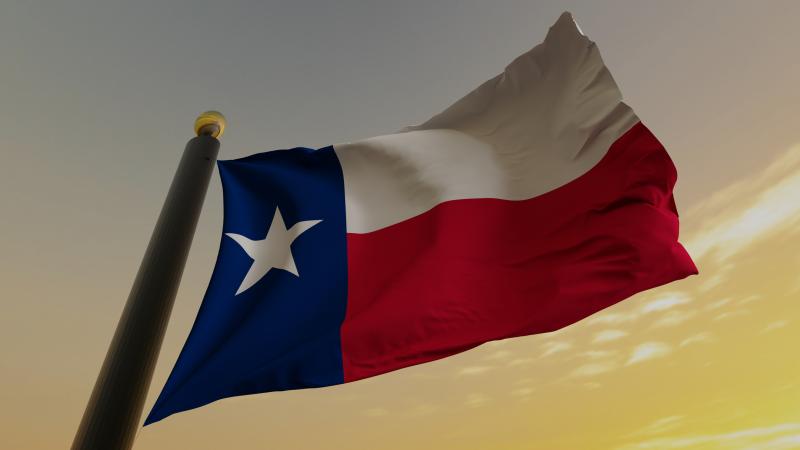 Texas flag