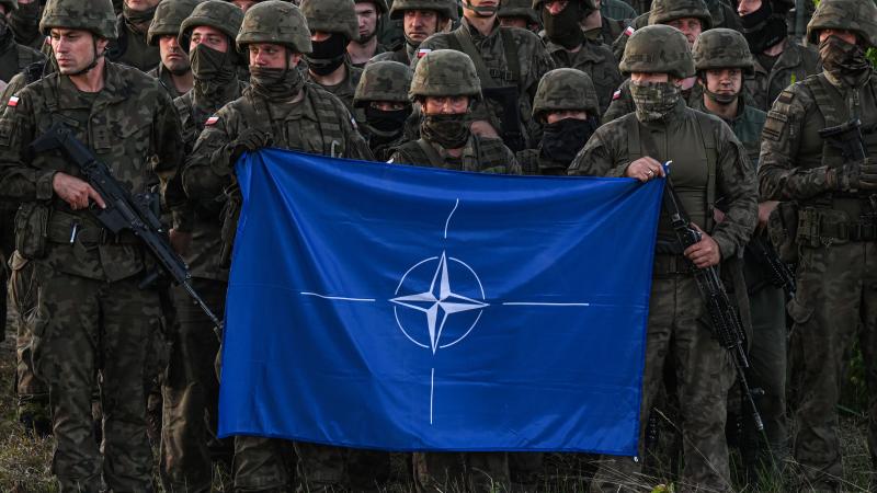 Polish soldiers, NATO flag, Orzysz, Poland, July 3, 2022
