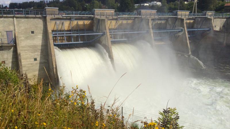 Water running through the dam locks in a power station. Wildflowers in front.