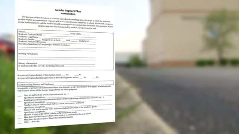 South Madison Community School Corp. "gender support plan"